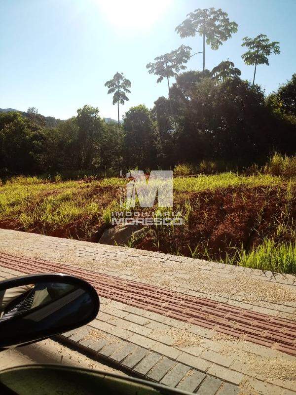 Terreno à venda no bairro Aymoré: 